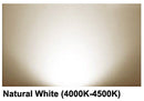 WEDO 50W 100W 200W Led Flood Light Scale-Like Electroplating Reflector IP66 Outdoor Waterproof Lamps